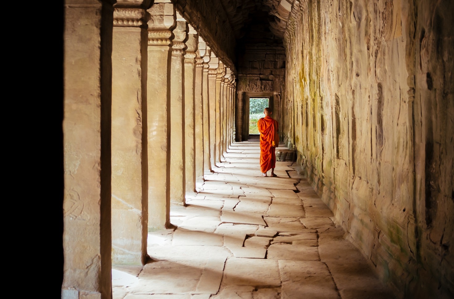The Impact of Sanghas in Political Advocacy