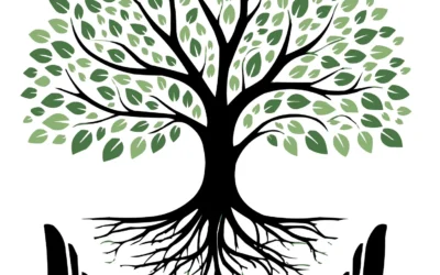 Cycles of Belonging: A Migrant Story for Our Time